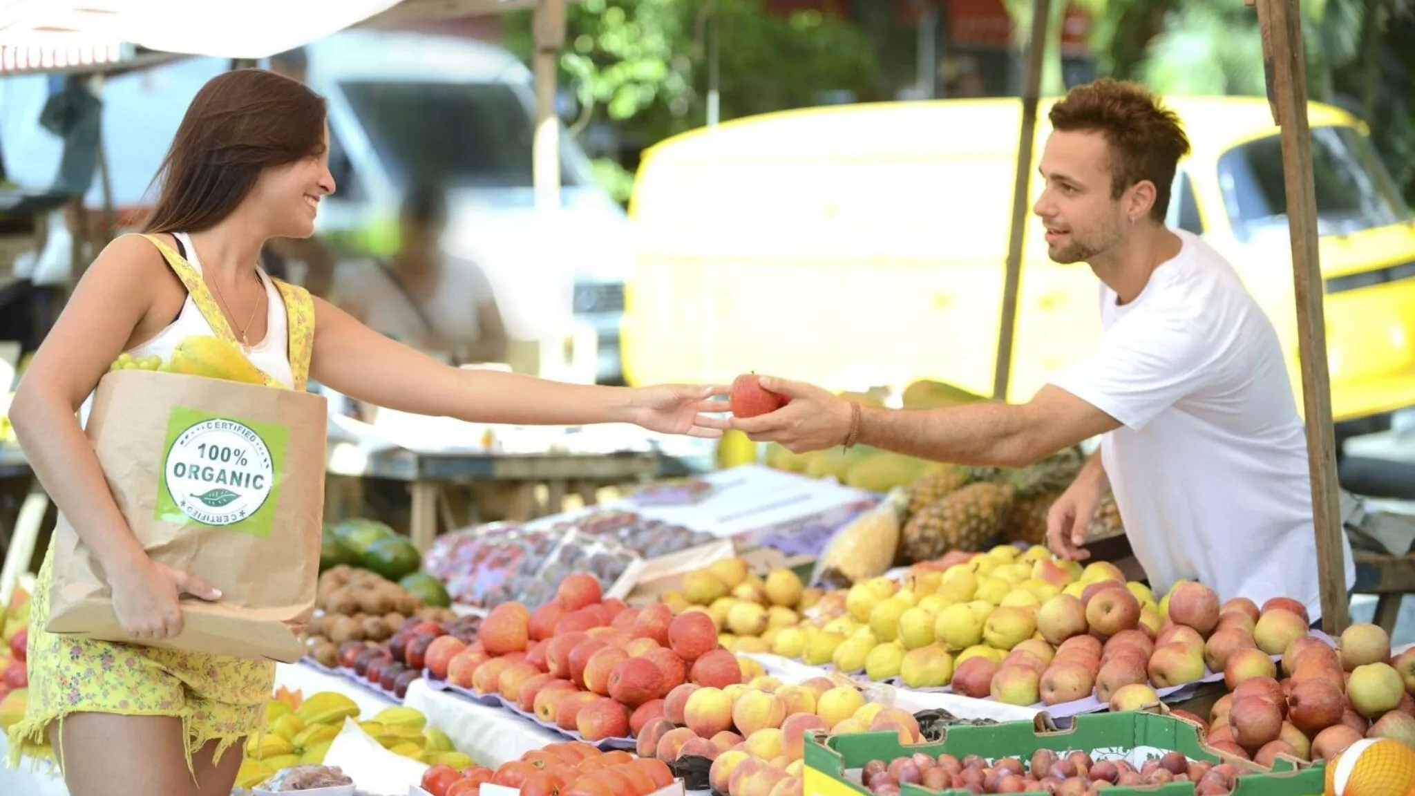 Dieta Mediterranea Bio, quando l'alimentazione fa bene alla salute: uno studio condotto da UniTorVergata e FederBio