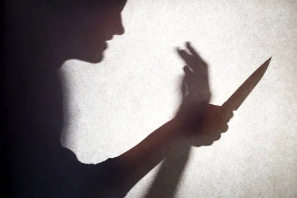 Docente accoltellata a scuola, Valditara incontra al Ministero lo studente che l'ha difesa