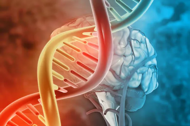 Due Varianti Genetiche nel DNA dei 'Super Anziani' Riducono Drasticamente il Rischio di Alzheimer