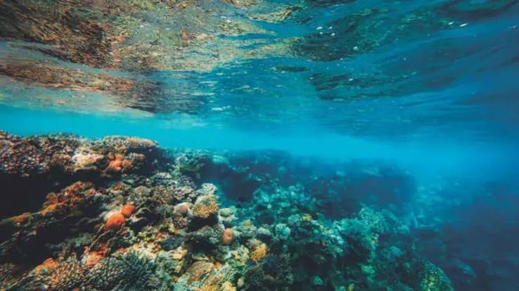 Economia del mare a 224,9 miliardi: mancano 175mila lavoratori al 2030
