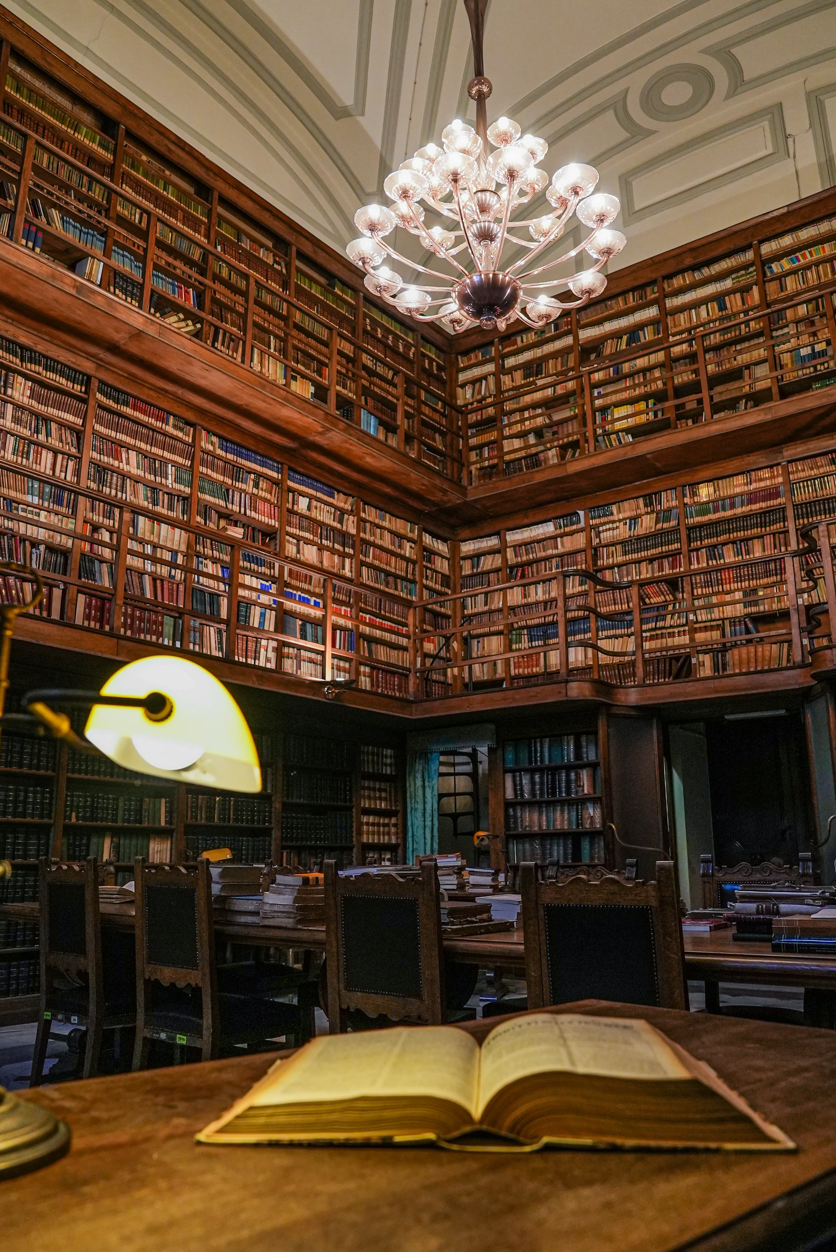 Educare alla pace: la Biblioteca De Gregori del MIM ospita la mostra