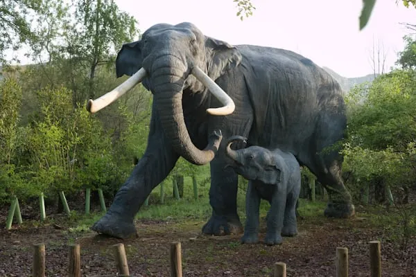 Elefanti preistorici e Neanderthal: lo studio Unimore su Science Advances svela i segreti nascosti nei denti fossili