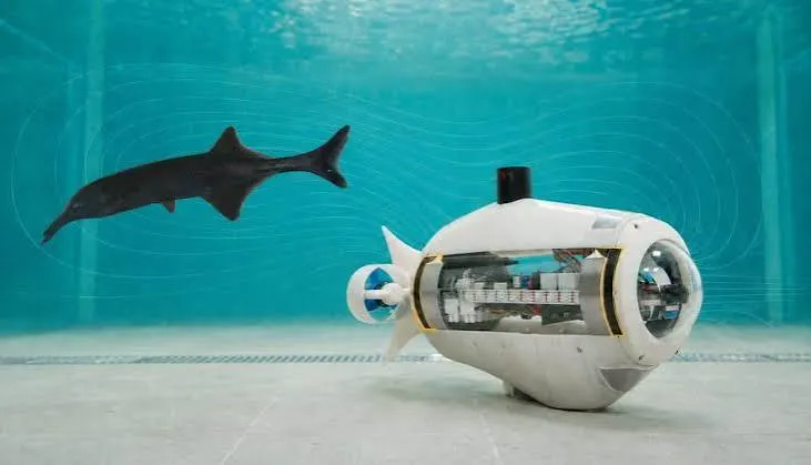 Elettroecologia: 1,99 milioni Erc a Pisa per robot che leggono la natura