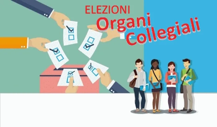 Elezioni Organi Collegiali nella Scuola: Tutto su Scadenze, Documenti e Modalità per il 2025