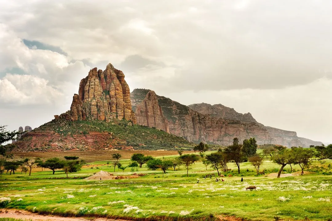 La scoperta dei denti in Etiopia che riscrive la storia dell'evoluzione umana