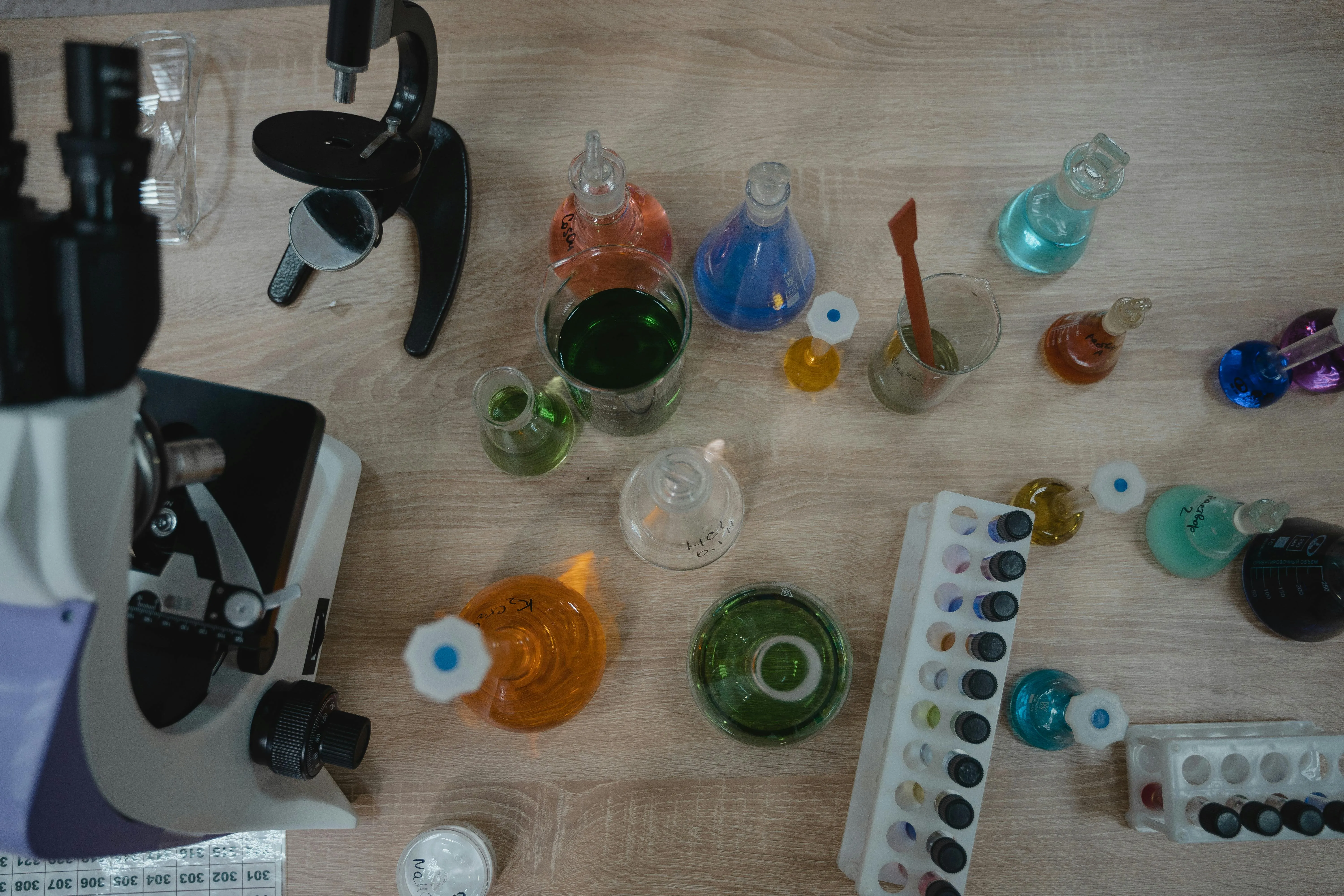 Festa di Scienza e Filosofia 2026: 158 conferenze tra Foligno e Fabriano per un nuovo umanesimo scientifico