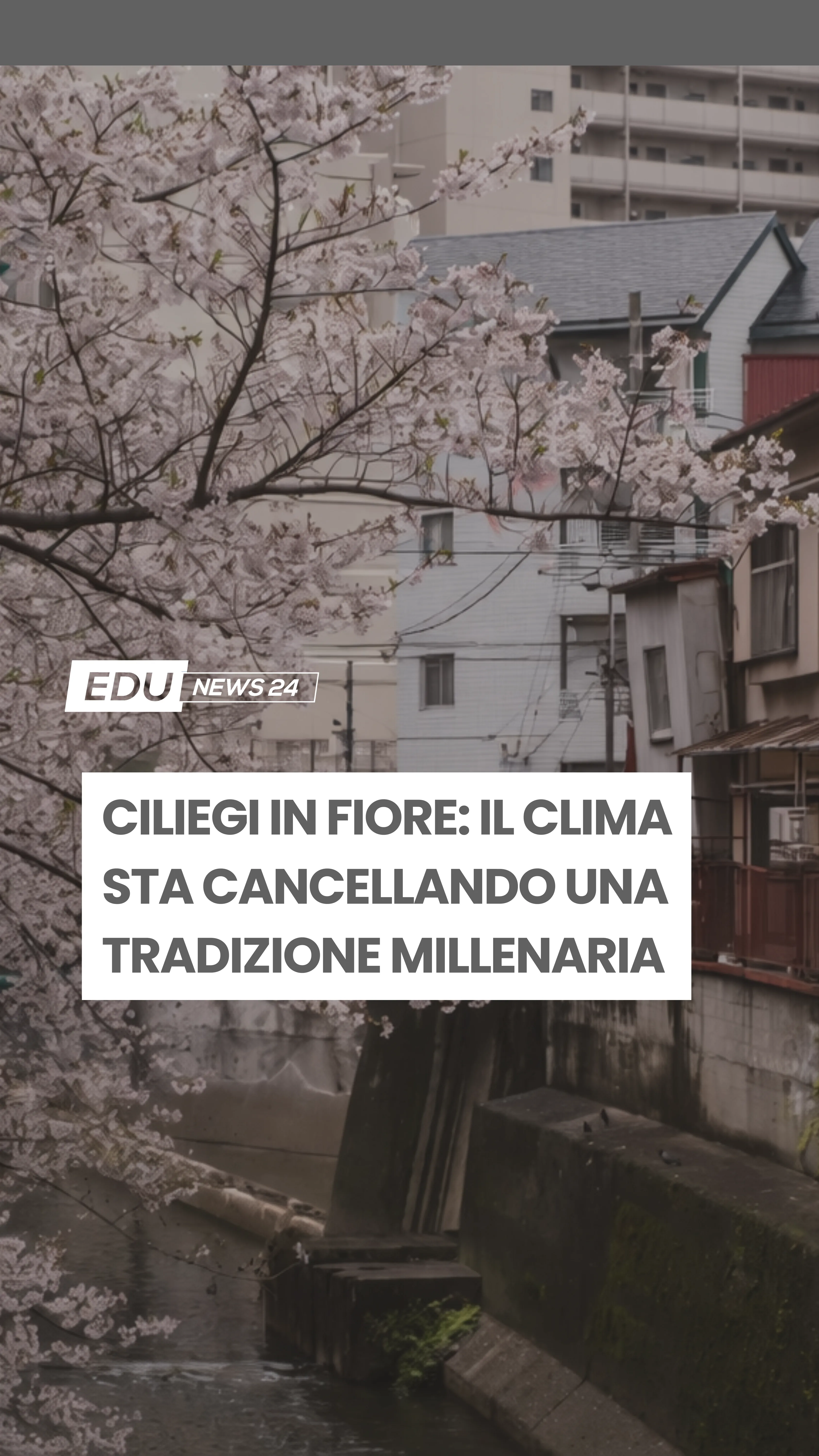 Video cover