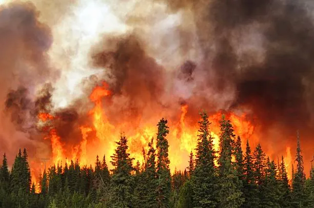 Fire-Box: atlante rischio incendi per sei parchi nazionali