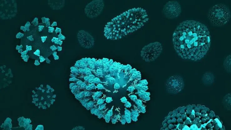Firme batteriche nei tumori: 341 specie identificate su 1.364 pazienti