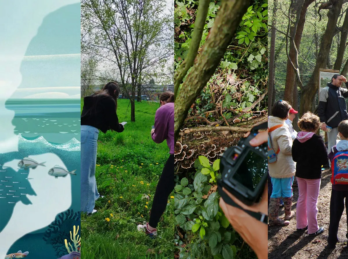 Scuola e Ambiente: Il Nuovo Programma di Educazione Ambientale di Fondazione Lombardia per l’Ambiente nelle Scuole Lombarde