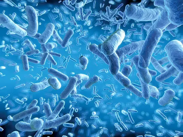 Gadusolo dall'E. coli: la biotech sfida i filtri solari banditi in UE