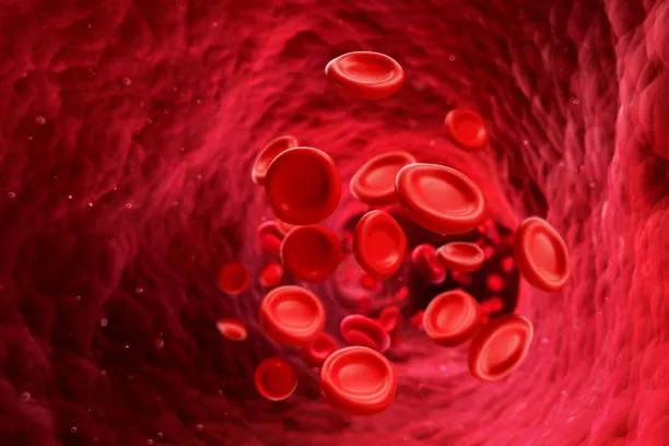 Gene Fos e macrofagi: come si è evoluto il sangue in 700 milioni di anni