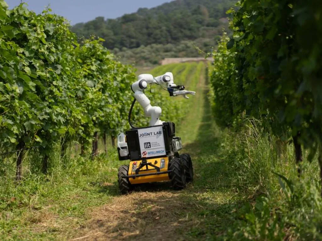 Frasky: il Nuovo Orizzonte dell’Agricoltura di Precisione nei Vigneti Italiani