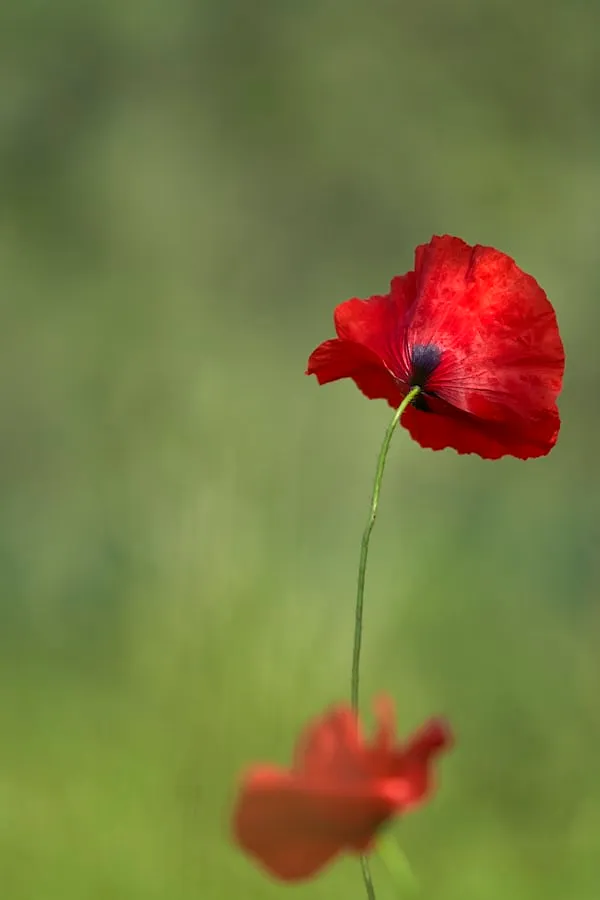 Giornata della Memoria nelle scuole: l’esperienza dell’ITET Einaudi di Bassano del Grappa e il ruolo attivo della didattica