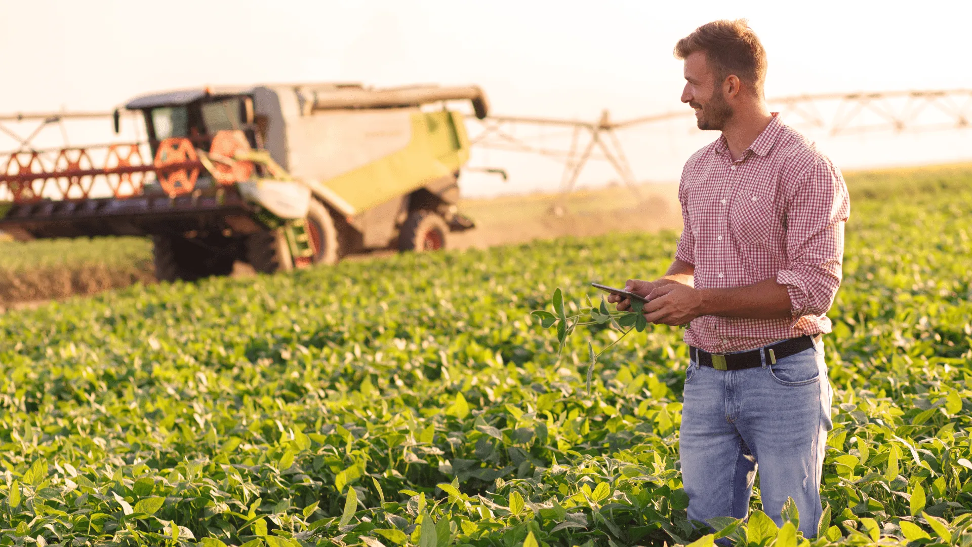 Giovani e Agricoltura: 150 milioni di euro con Coltiva Italia per sostenere l’impresa agricola delle nuove generazioni