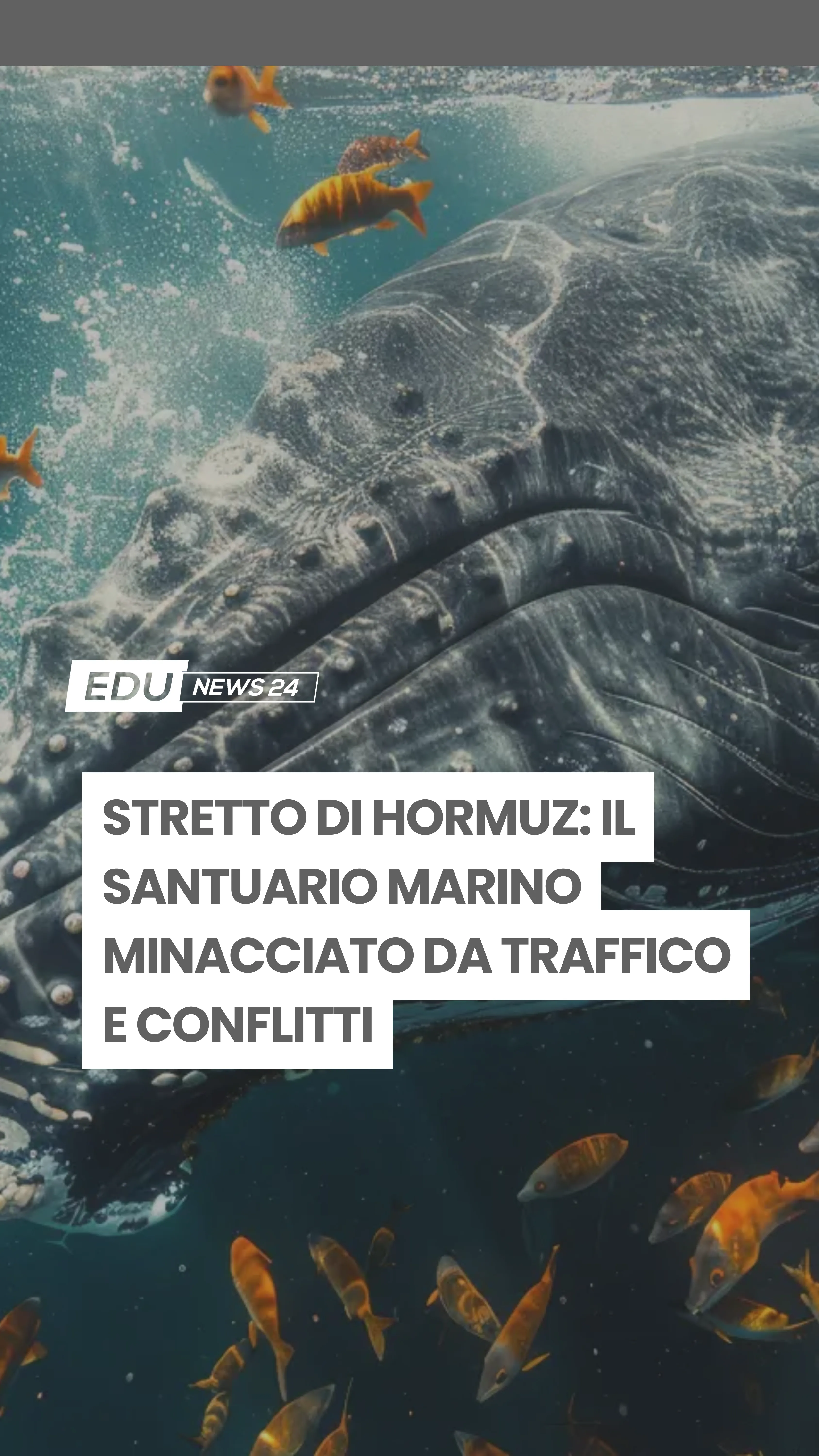 Video cover