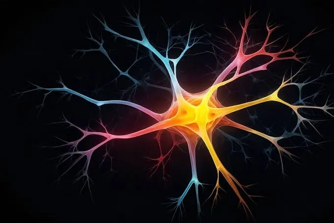 I neuroni dell'ansia da cannabinoidi e i dati sui giovani italiani