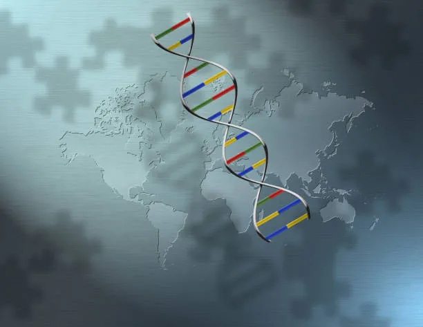 I nucleosomi del DNA hanno 14 stati, non 2: scoperta su Nature