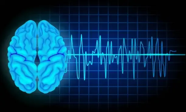 Il ruolo delle onde cerebrali nella percezione del sé corporeo: nuove prospettive dalla ricerca svedese