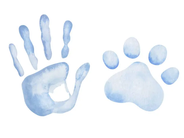 La più antica prova di convivenza fra uomo e cane in Italia: la sorprendente scoperta nella Grotta della Bàsura