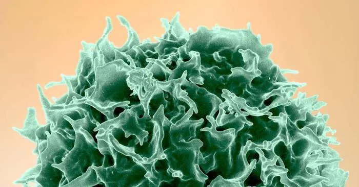 Sclerosi Multipla: Scoperto un Canale Bloccato nelle Cellule Immunitarie che Apre la Strada a Nuove Terapie Mirate