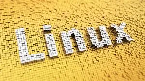 Linux cresce negli USA: supera il 5%, Windows in calo
