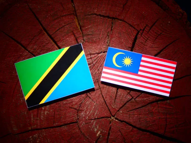 Intesa Tanzania-Malaysia su AI e borse di studio: il ruolo dell'Italia
