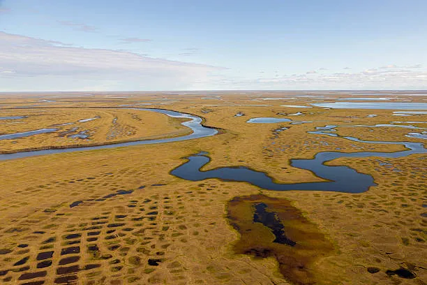 L'80% dei fiumi si interrompe almeno un giorno all’anno: ecco cosa rivela la ricerca dell’Università di Padova