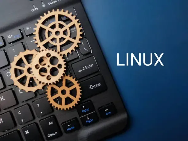 La Comunità del Kernel Linux si Organizza per il Futuro: Definita la Procedura di Emergenza Post-Torvalds