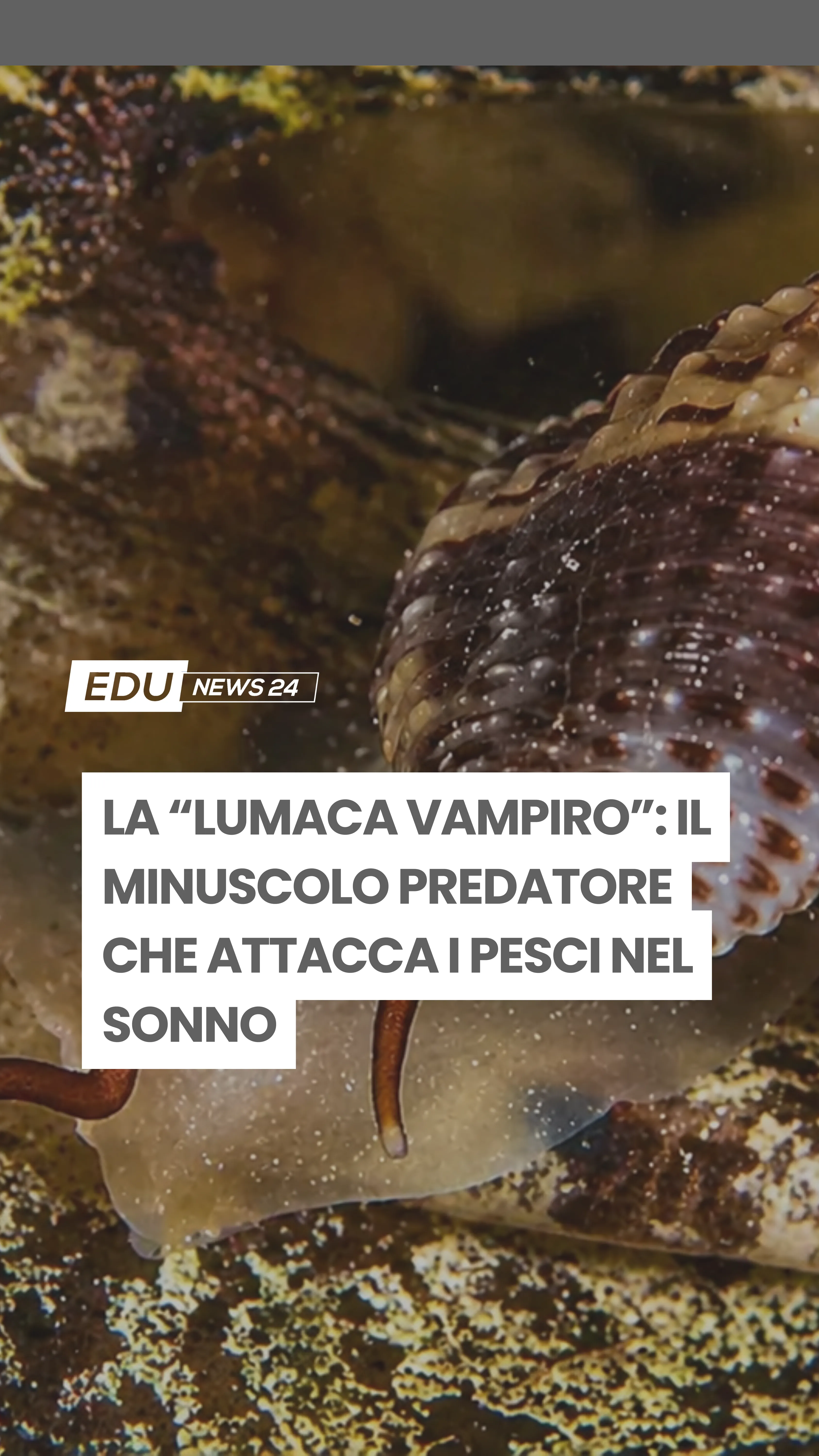Video cover