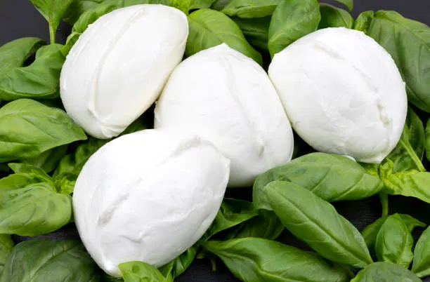 La Mozzarella di Bufala Campana Dop: Un Viaggio tra Storia, Cultura e Turismo alla Bit di Milano 2026