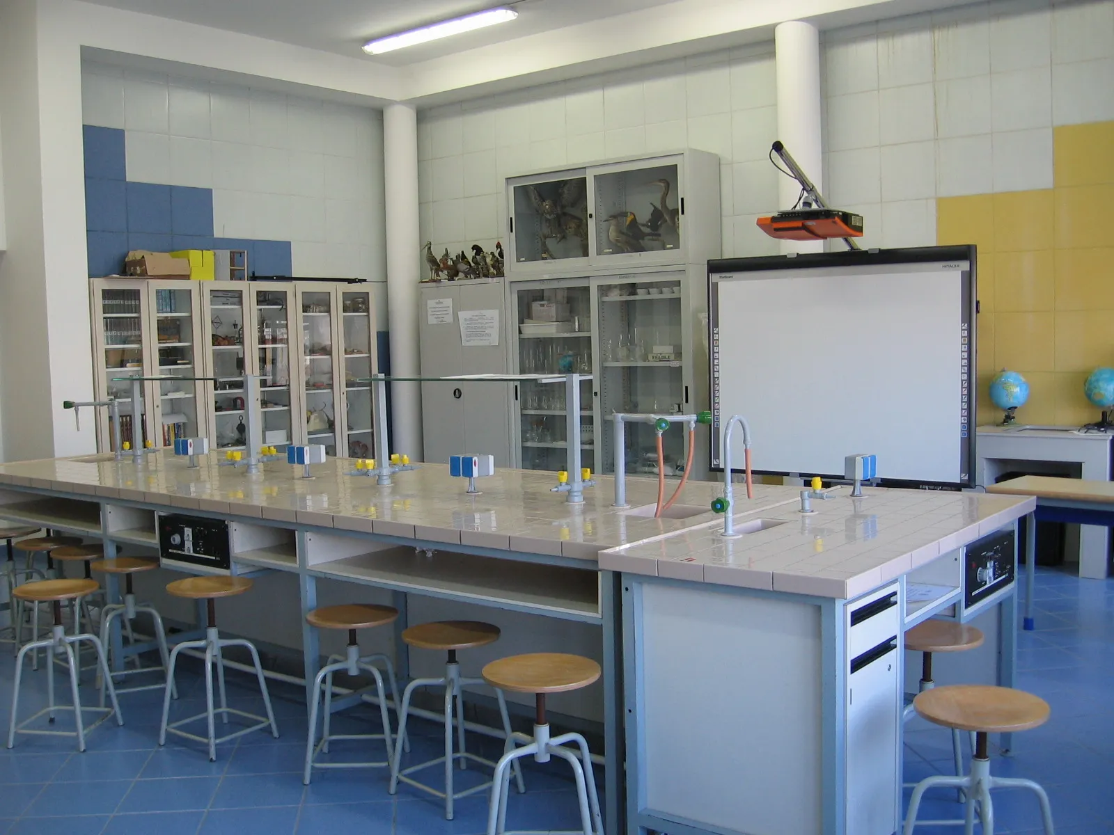 Rivoluzione in classe: Laboratori STEAM e apprendimento interattivo nelle scuole italiane