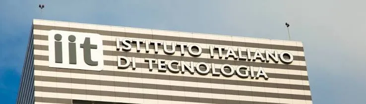 Legno che si piega senza spezzarsi: il paper IIT su Nature e il brevetto