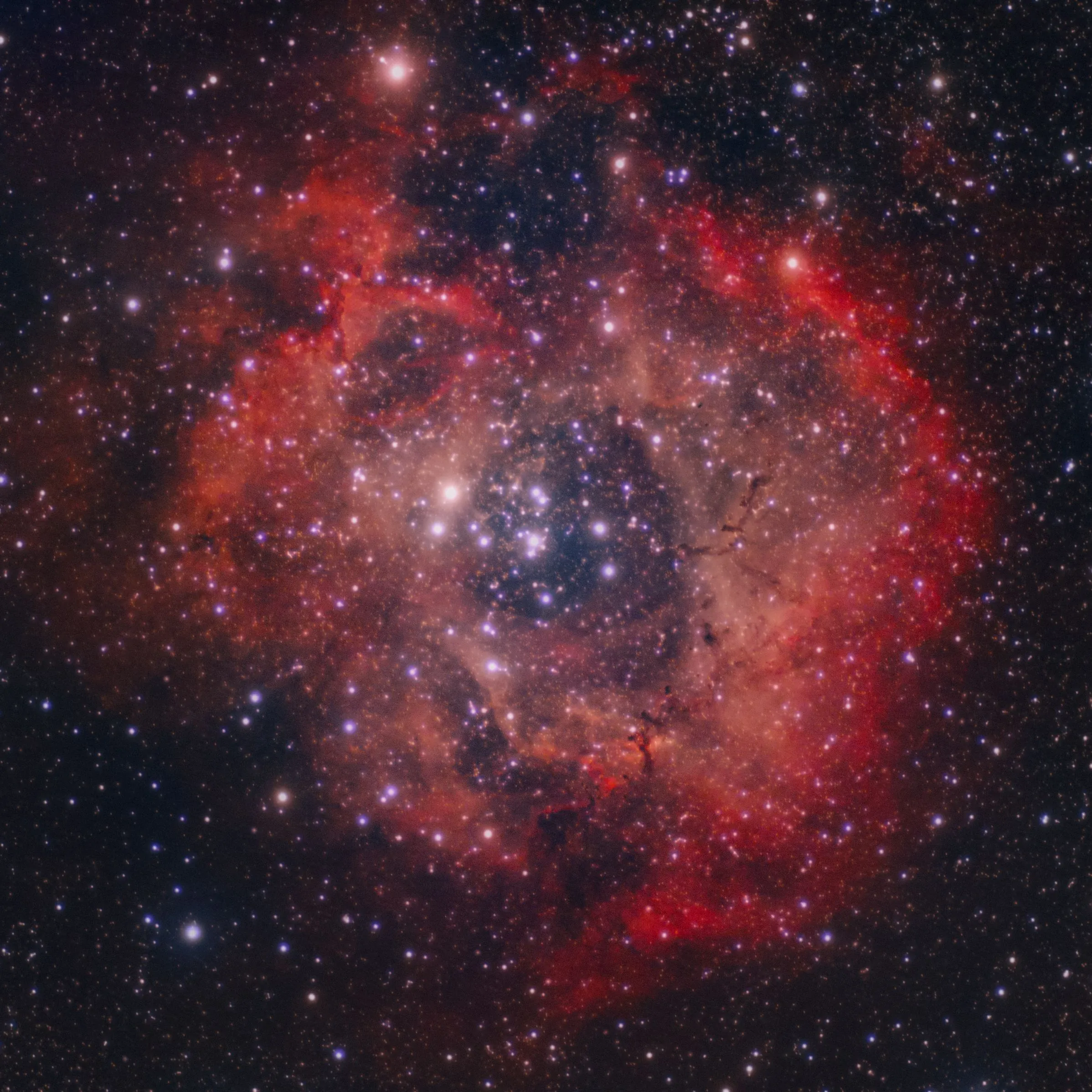 L'errore sulle supernovae che ha riaperto e chiuso il caso in 7 mesi