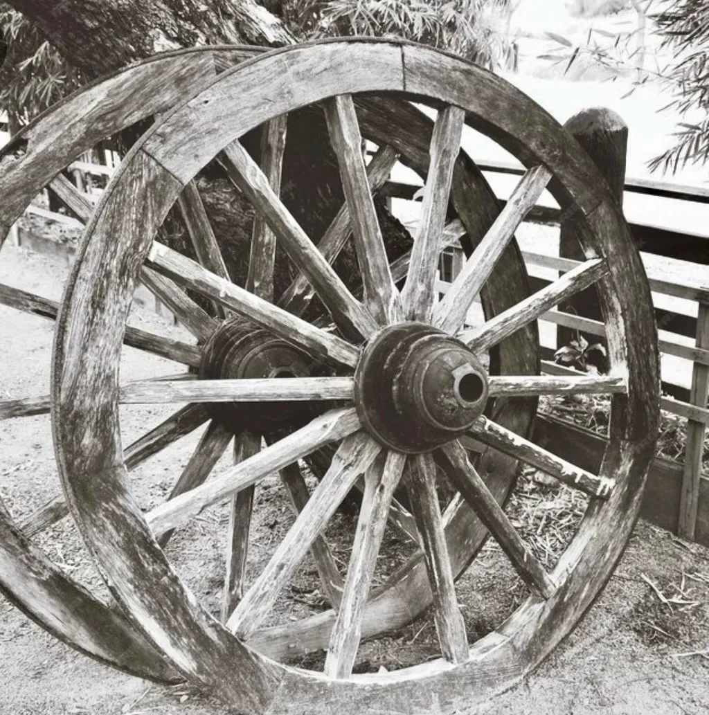 L’Evoluzione Inversa: Se la Tecnologia ci  Rende meno Intelligenti