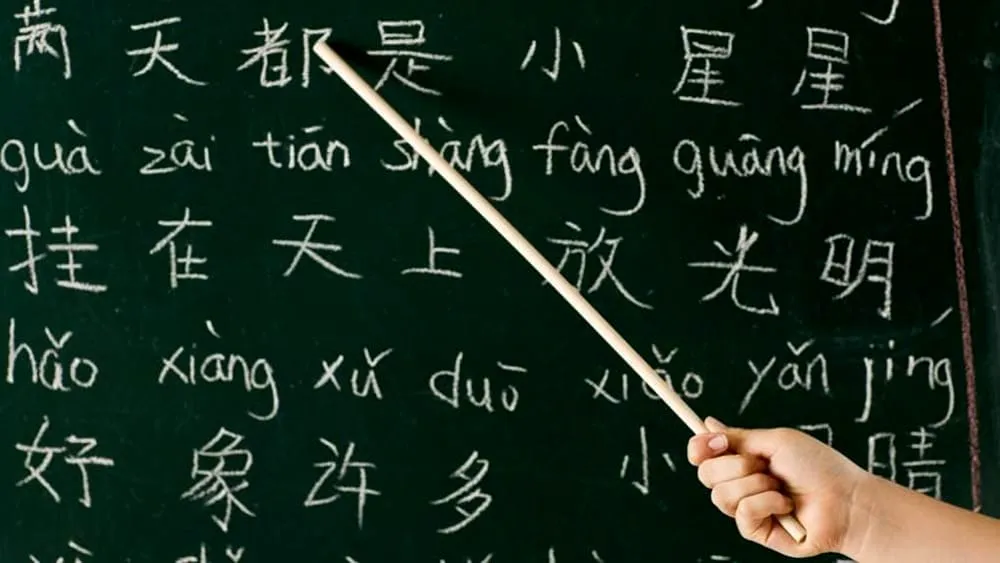 Singapore e la Scommessa sui Corsi in Mandarino: Opportunità e Rischi per la Diversità Accademica