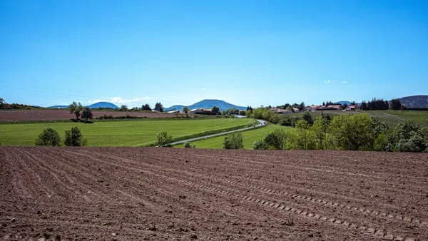 Luca Pignataro riconfermato alla guida della Cia Calabria Nord: nuovi obiettivi per l’agricoltura locale
