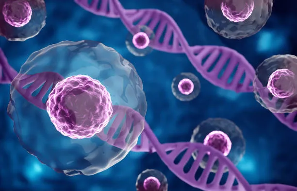 Mappa 4D del DNA Umano: Scoperti 140 Mila Ripiegamenti in Ogni Cellula Grazie all’Intelligenza Artificiale