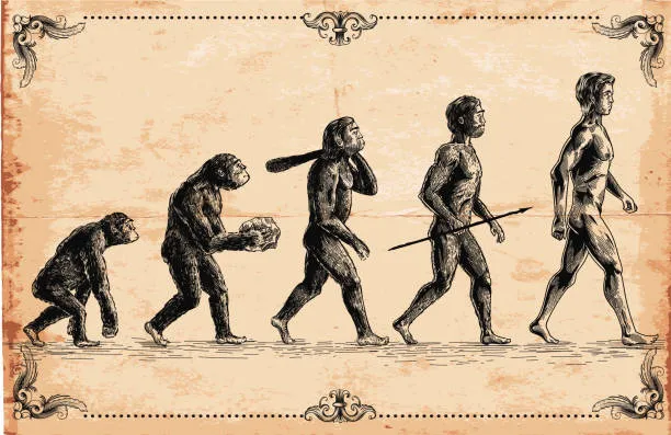 Masripithecus: la culla degli ominidi si sposta in Nord Africa