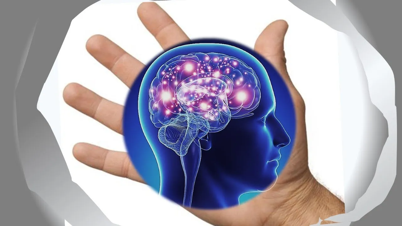 Il cervello umano decifra il movimento delle mani: nuove scoperte rivoluzionano neuroscienze e tecnologia
