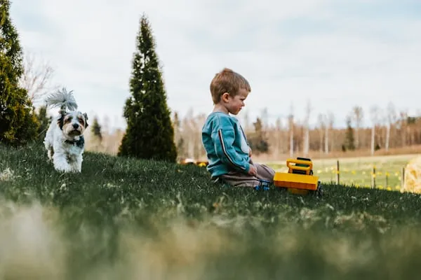 Memoria infantile: scoperto il ruolo chiave della microglia nella cancellazione dei ricordi d'infanzia