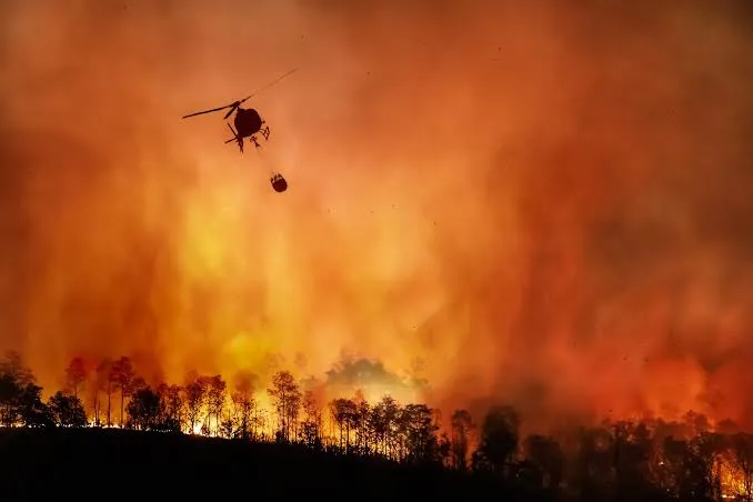 Meno incendi in Europa, ma più devastanti: il caso Italia nel 2025