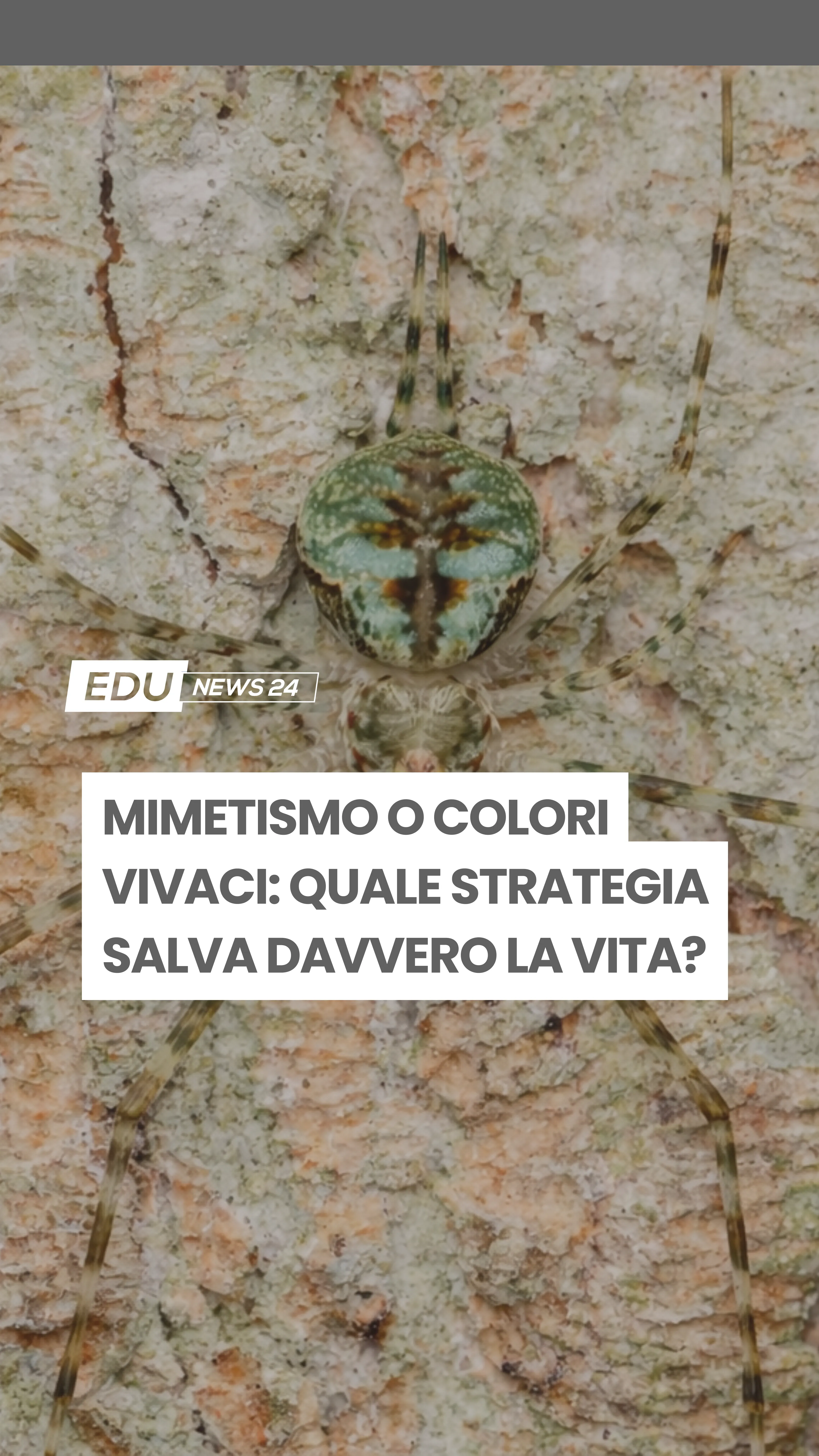 Video cover