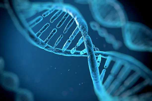 Il Dna svela i segreti più intimi delle microalghe: Nuove scoperte sulla riproduzione sessuata delle diatomee