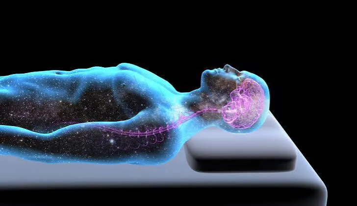 Motore del sonno nel tronco encefalico: serotonina e Gaba gli interruttori