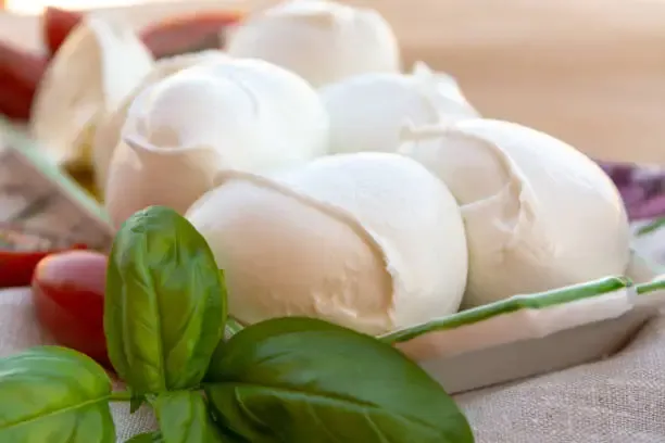 Mozzarella di bufala e jabugo Dop: a Barcellona nasce il gemellaggio europeo del gusto