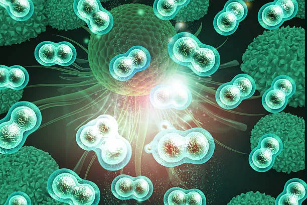 Nanoparticelle che ricaricano il sistema immunitario: dalla Pennsylvania la promessa di un'immunoterapia universale contro i tumori