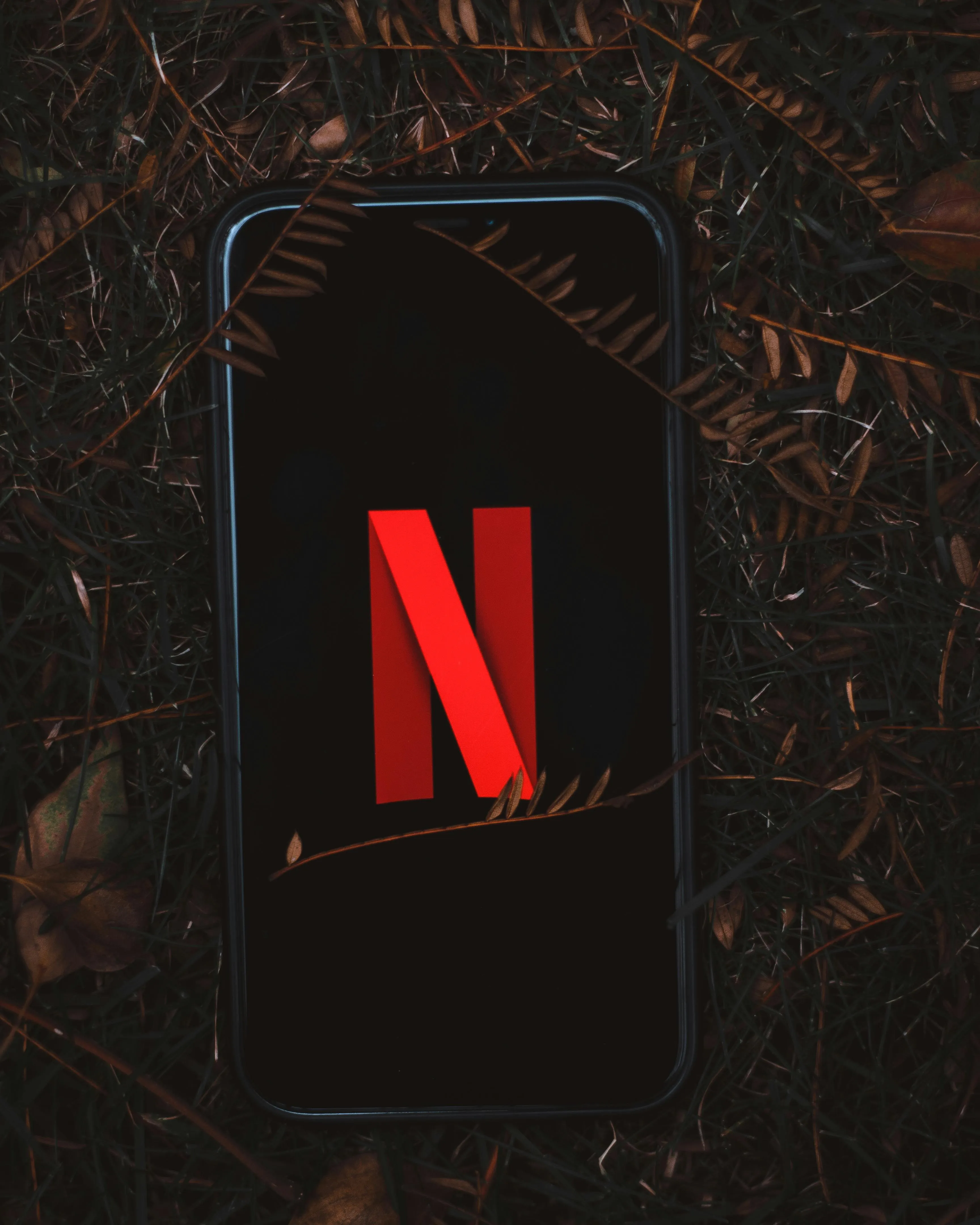 Netflix rivoluziona l'app mobile: in arrivo i video verticali a scorrimento stile TikTok e Reels