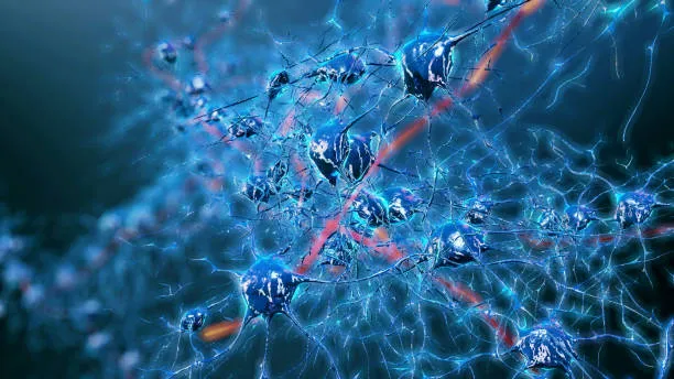 La Proteina Mettl9: Nuovi Orizzonti nella Ricerca sullo Sviluppo Neurale e sulle Malattie Neurodegenerative