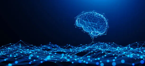 Nuova Teoria sullo Sviluppo Cerebrale: Implicazioni Chiave per la Neuroscienza e l’Intelligenza Artificiale